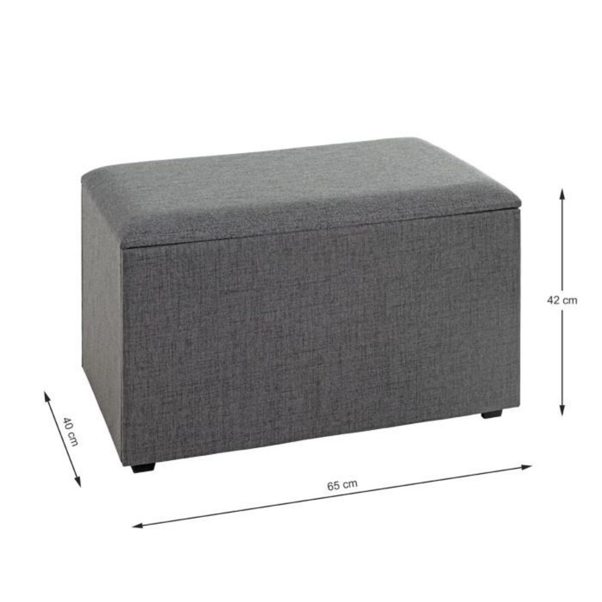 Paris Prix Coffre de Rangement Design  Lumyna  65cm Gris