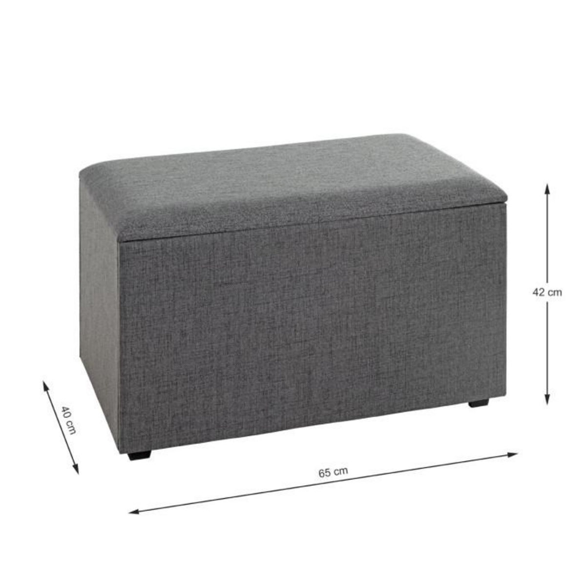 Paris Prix Coffre de Rangement Design  Lumyna  65cm Gris