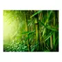 Paris Prix Papier Peint  Jungle Bambou 