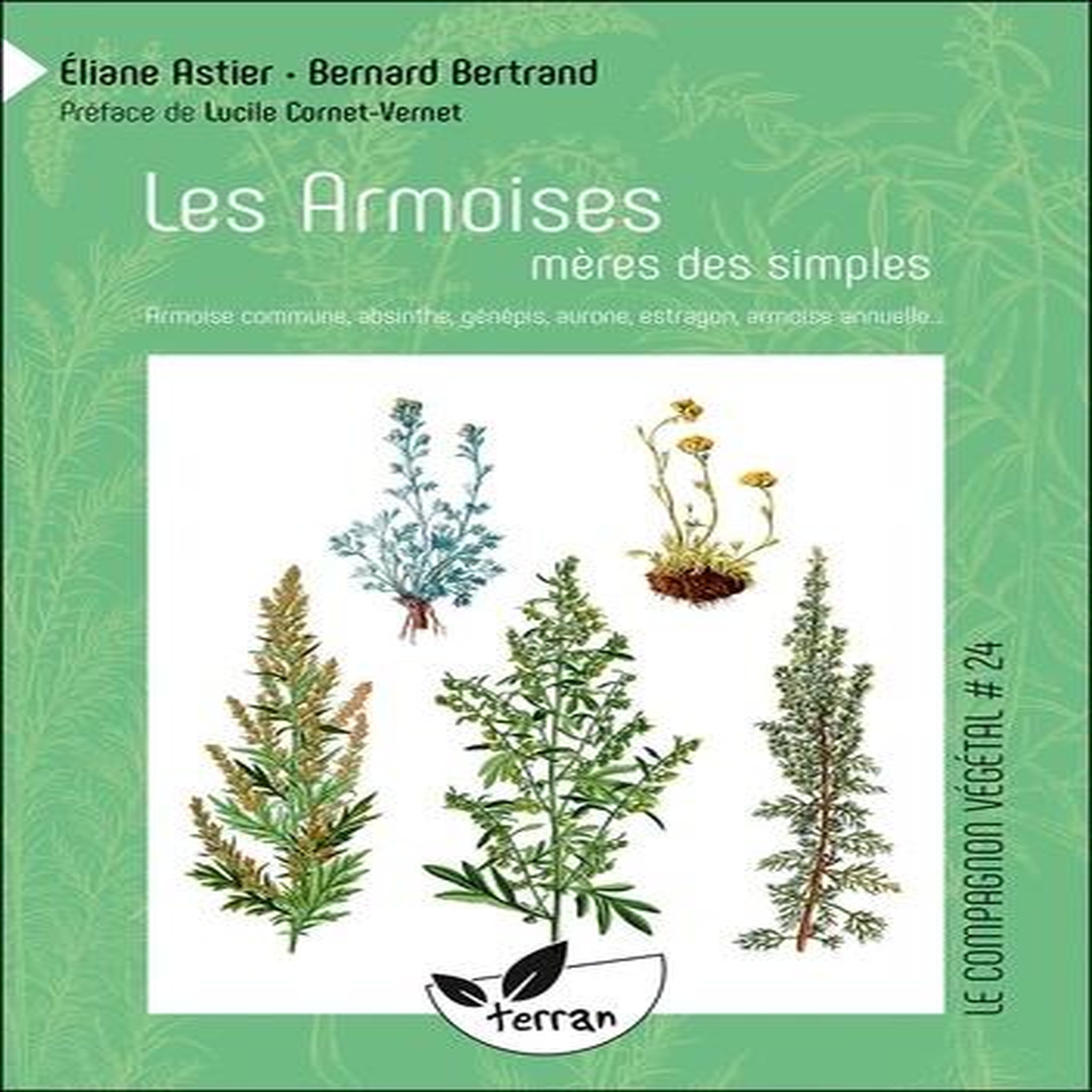 LES ARMOISES, MERES DES SIMPLES. ARMOISE COMMUNE, ABSINTHE, GENEPIS, AURONE, ESTRAGON, ARMOISE ANNUELLE..., Bertrand Bernard