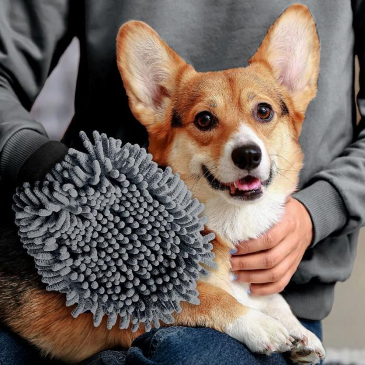 Paris Prix Gant de Toilettage en Microfibre  2 en 1  25cm Gris