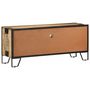 Voir la diapositive 3 : VIDAXL Meuble TV 110x31x46 cm Bois de manguier brut