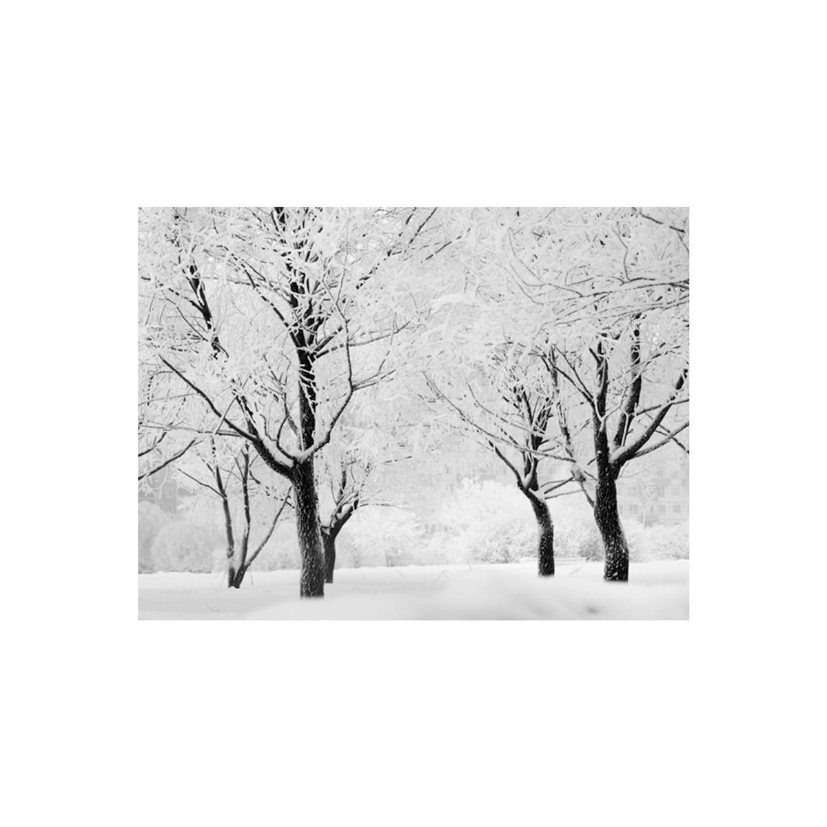 Paris Prix Papier Peint  Arbres Paysage D'hiver