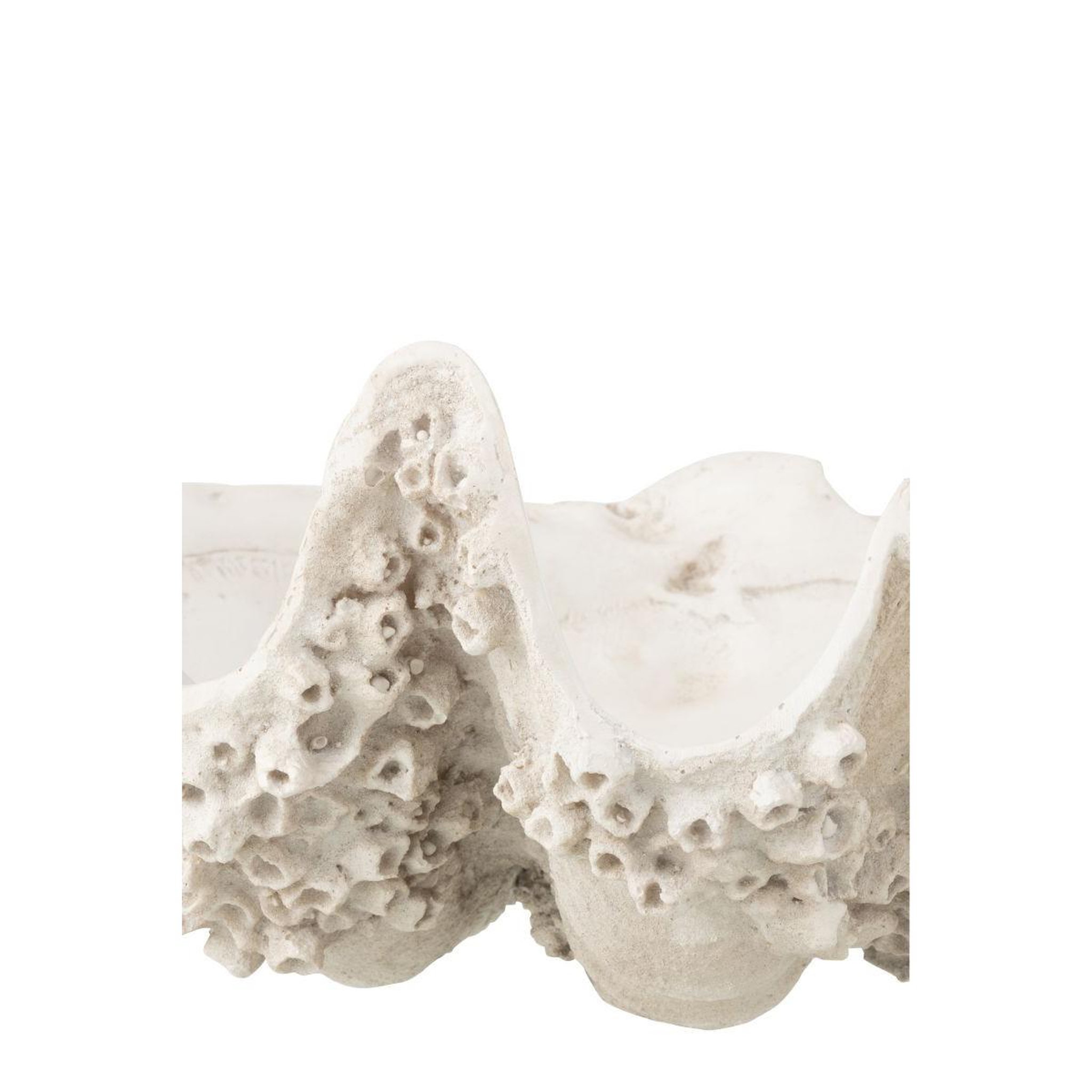 Voir la diapositive 2 : J-LINE Coupelle déco  coquillage  52cm blanc cassé