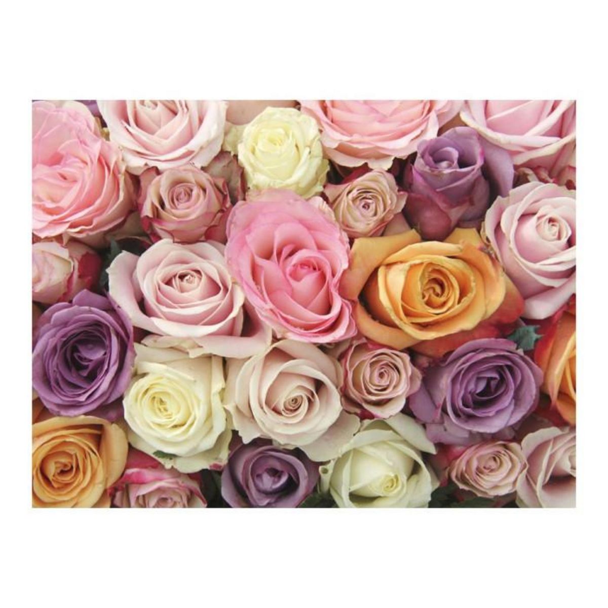 Paris Prix Papier Peint  Pastel Roses
