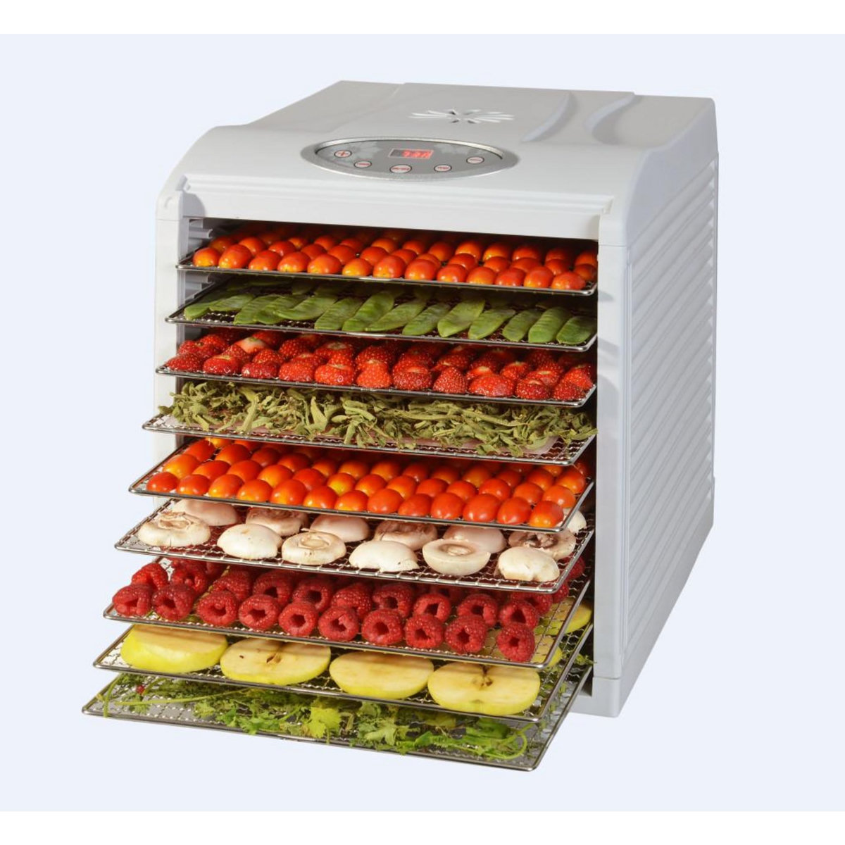 Kitchen chef Déshydrateur fruits et légumes 9 plateaux 650w - kys-333d