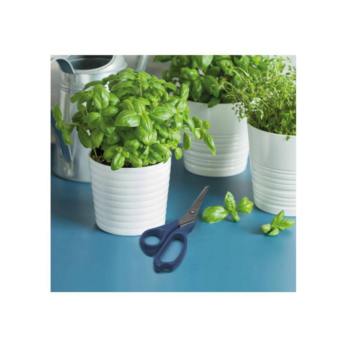 Fackelmann Ensemble de 2 Ciseaux de cuisine Fackelmann Elemental