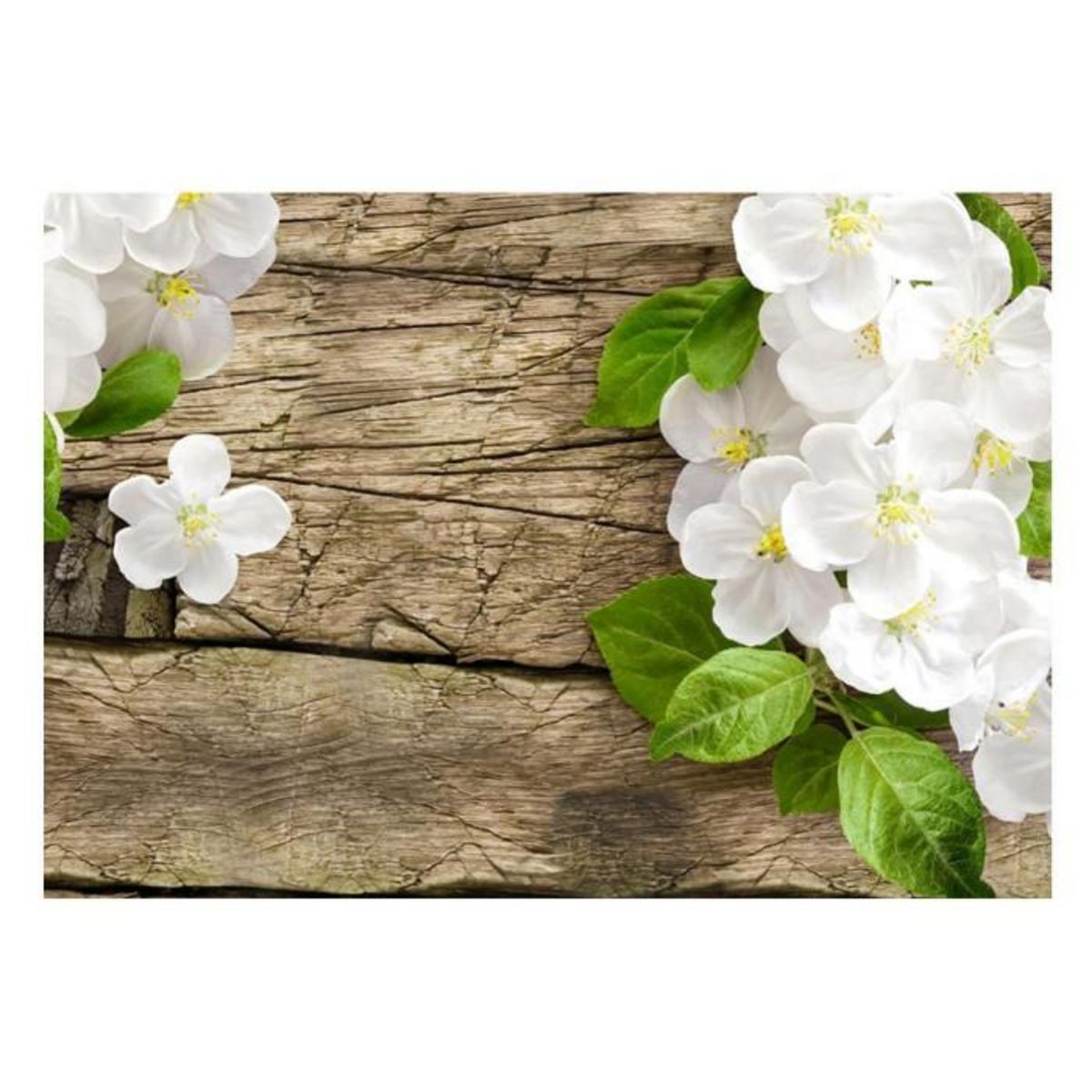 Paris Prix Papier Peint  Beauté Naturelle