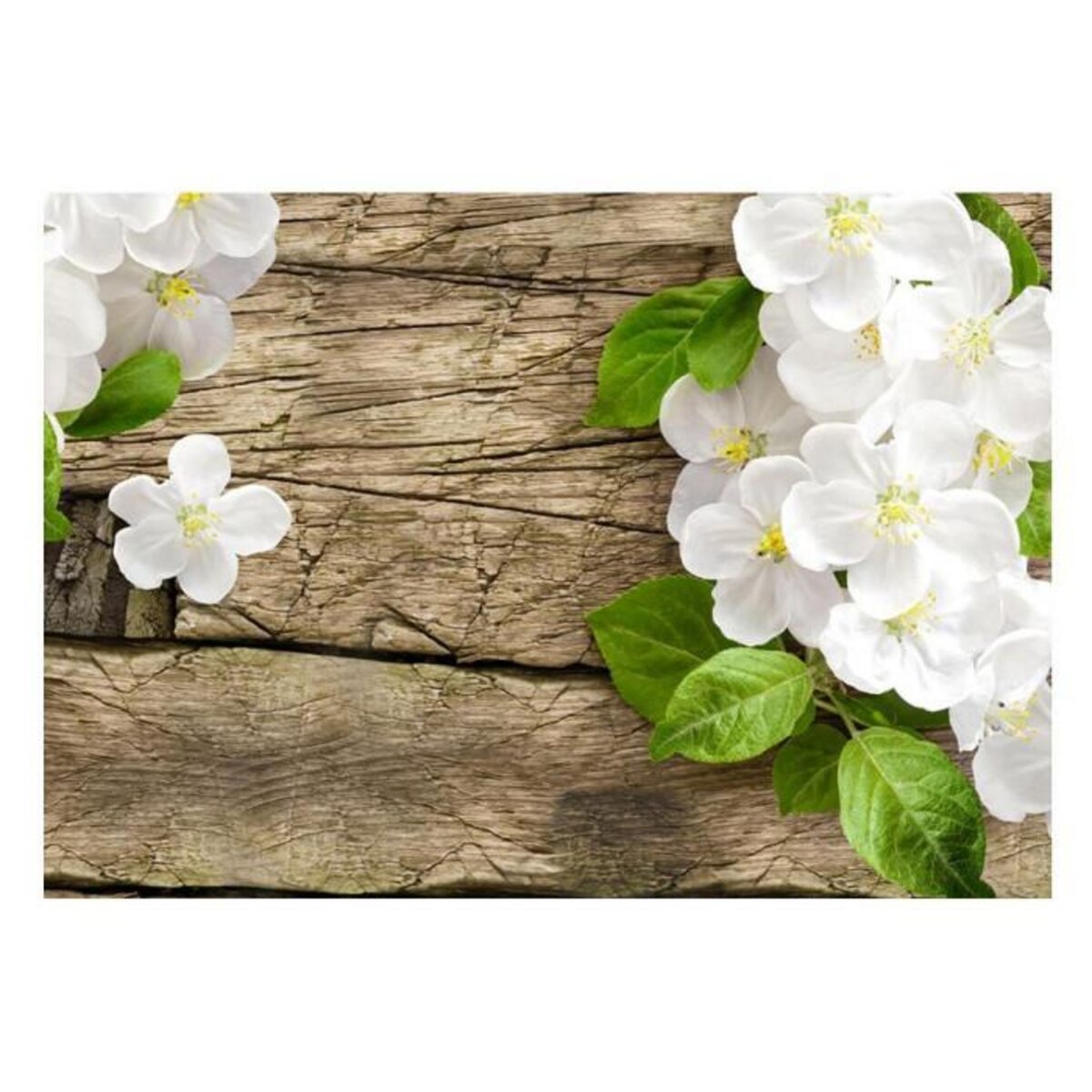 Paris Prix Papier Peint  Beauté Naturelle