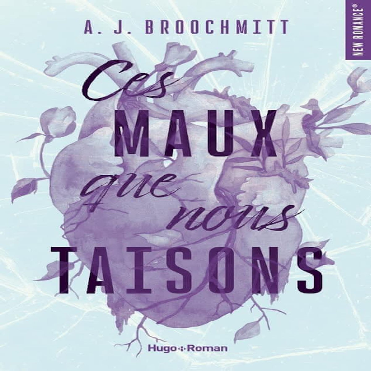 CES MAUX QUE NOUS TAISONS, BROOCHMITT A. J.
