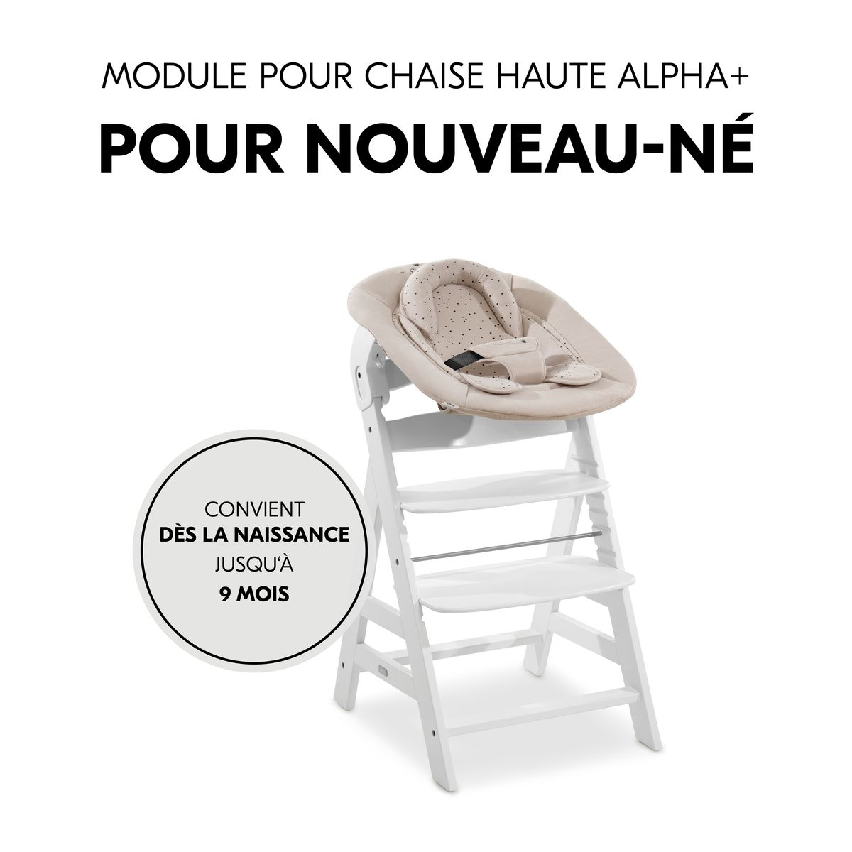 HAUCK Transat Alpha Bouncer 2en1