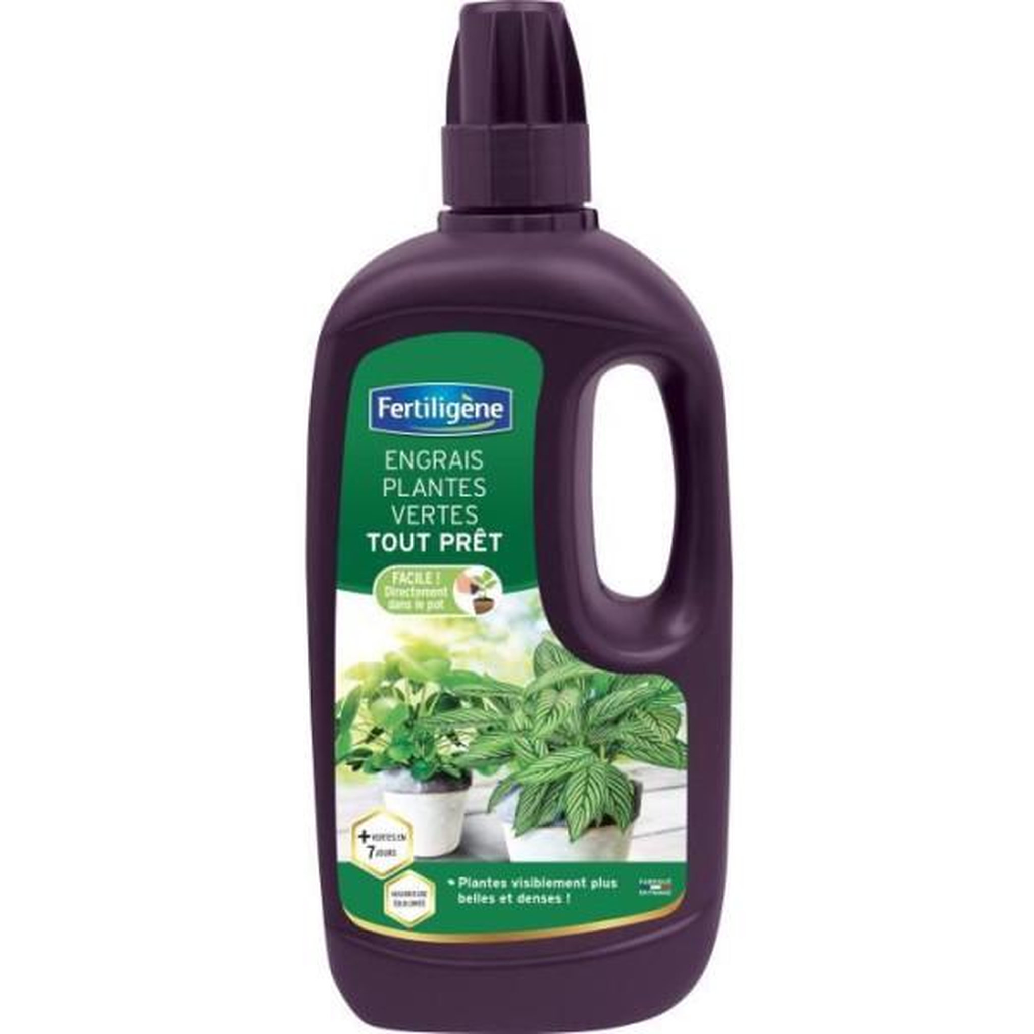 Fertiligene Fertiligene engrais plantes vertes - 1 l