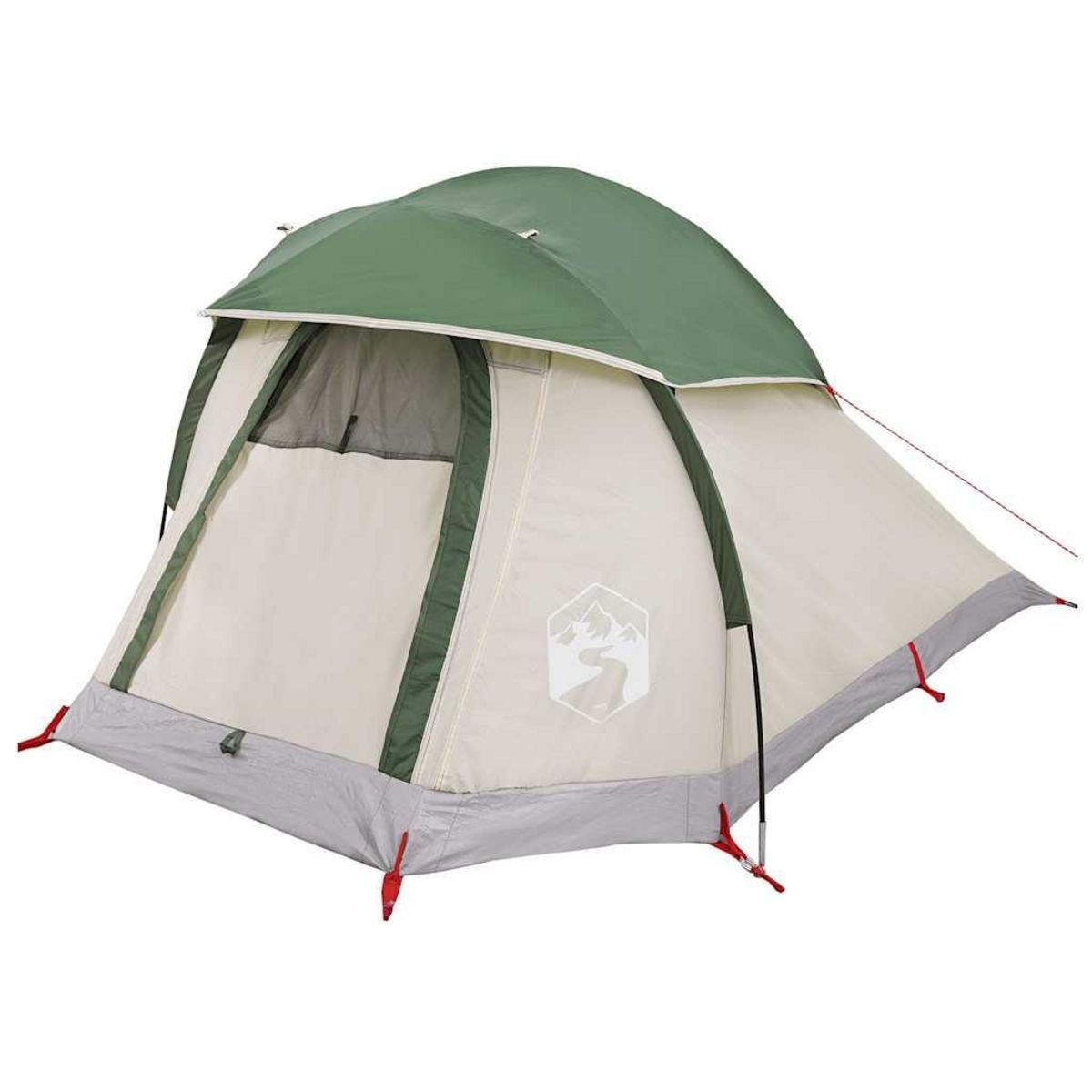VIDAXL Tente de camping a dome 1 personne vert impermeable