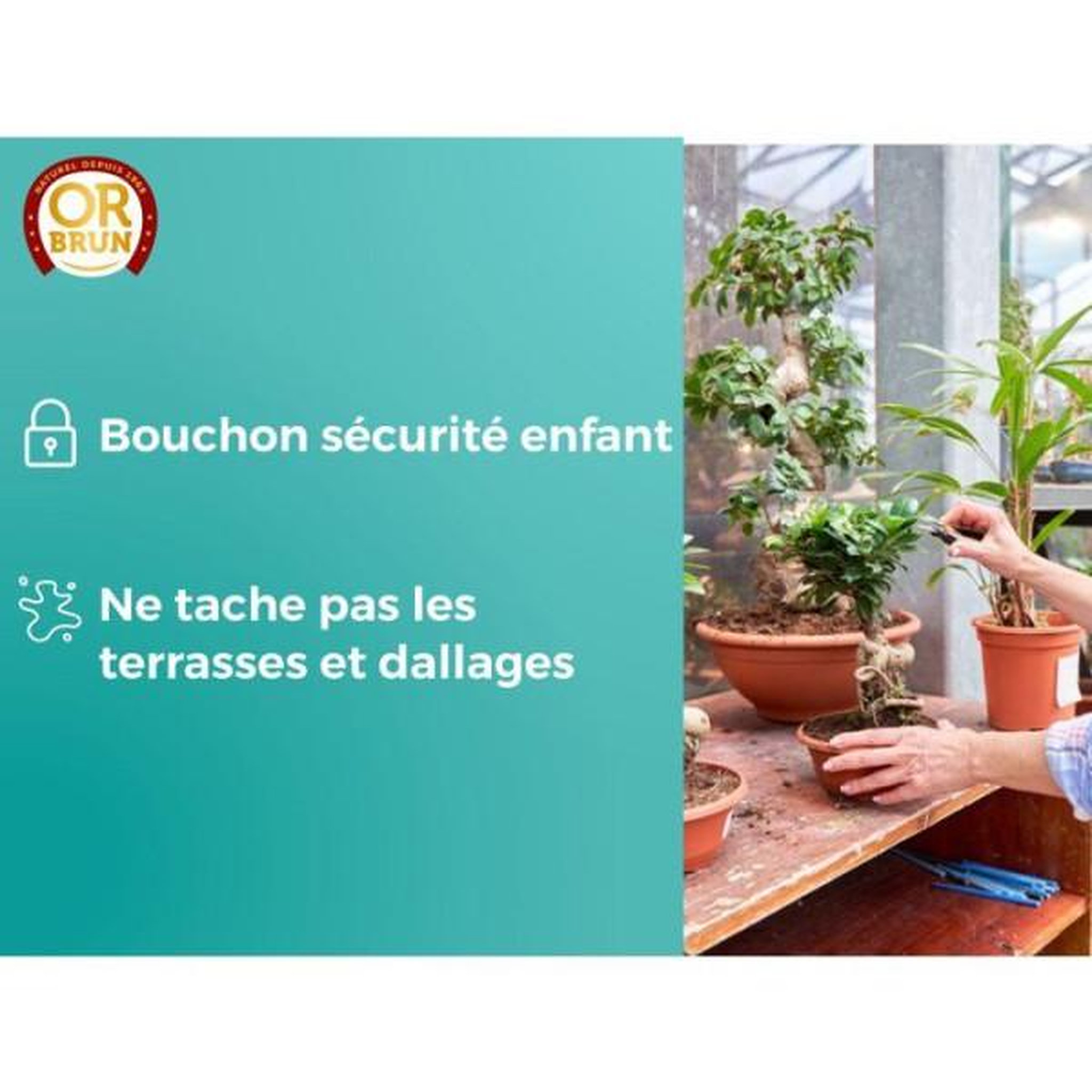 Voir la diapositive 2 : OR BRUN Engrais bonsais - or brun - obreclbonsai250 - 250 ml - améliore et favorise la croissance - fabriqué en france