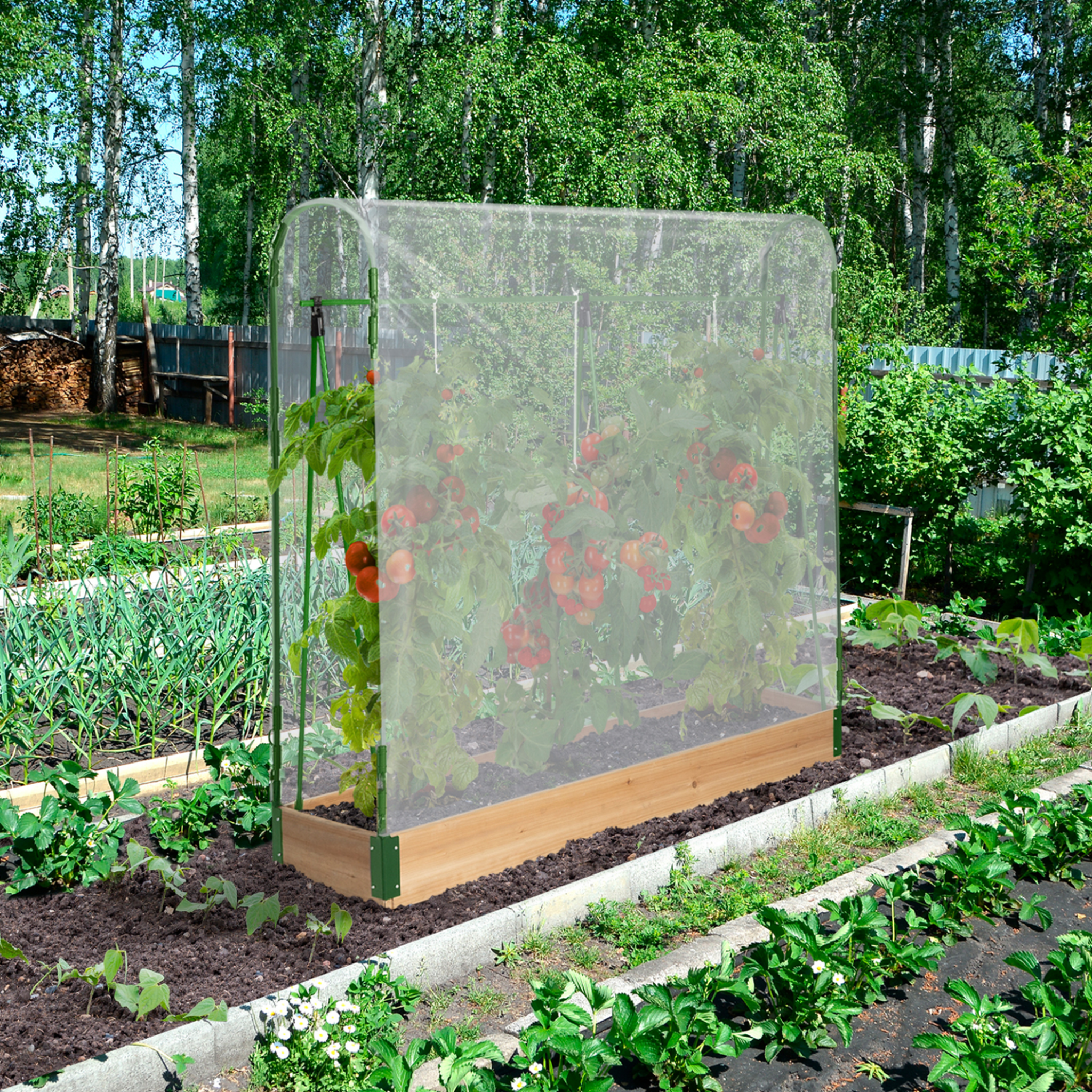 Voir la diapositive 2 : ID MARKET Serre à tomates spéciale croissance kit complet bâche + support