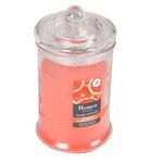 Paris Prix Bougie Parfumée Bocal  Essentiel  15cm Géraniol