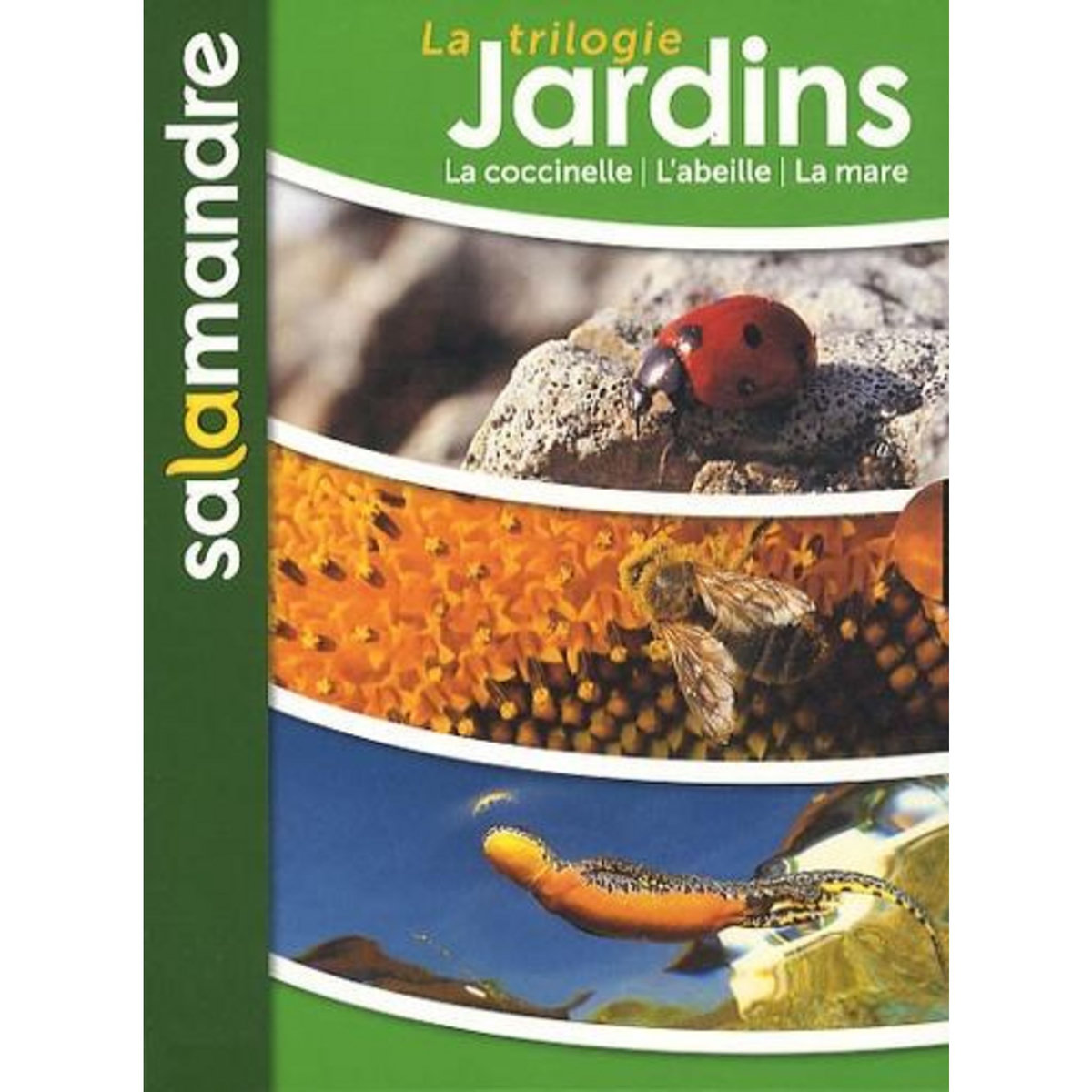 LA TRILOGIE JARDINS. SUR LA PISTE DES COCCINELLES, LA REVOLUTION DES ABEILLES, LES HEROS DE LA MARE, AVEC 3 DVD, Hayoz Gilbert