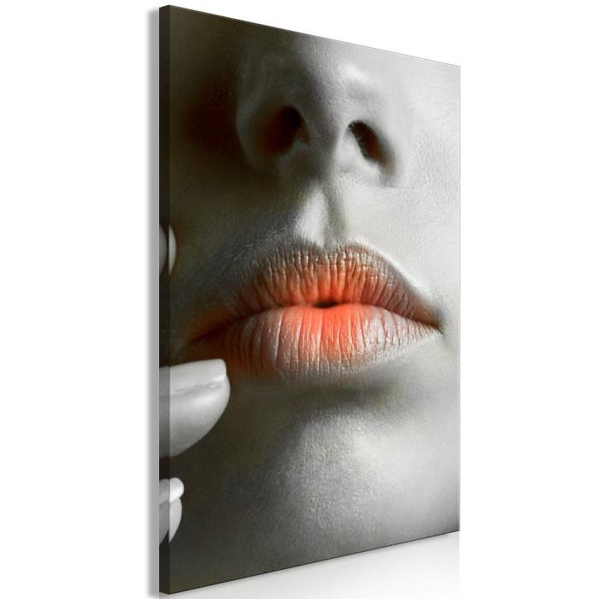 Paris Prix Tableau Imprimé  Hot Lips II. Coloris disponibles : Multicolore