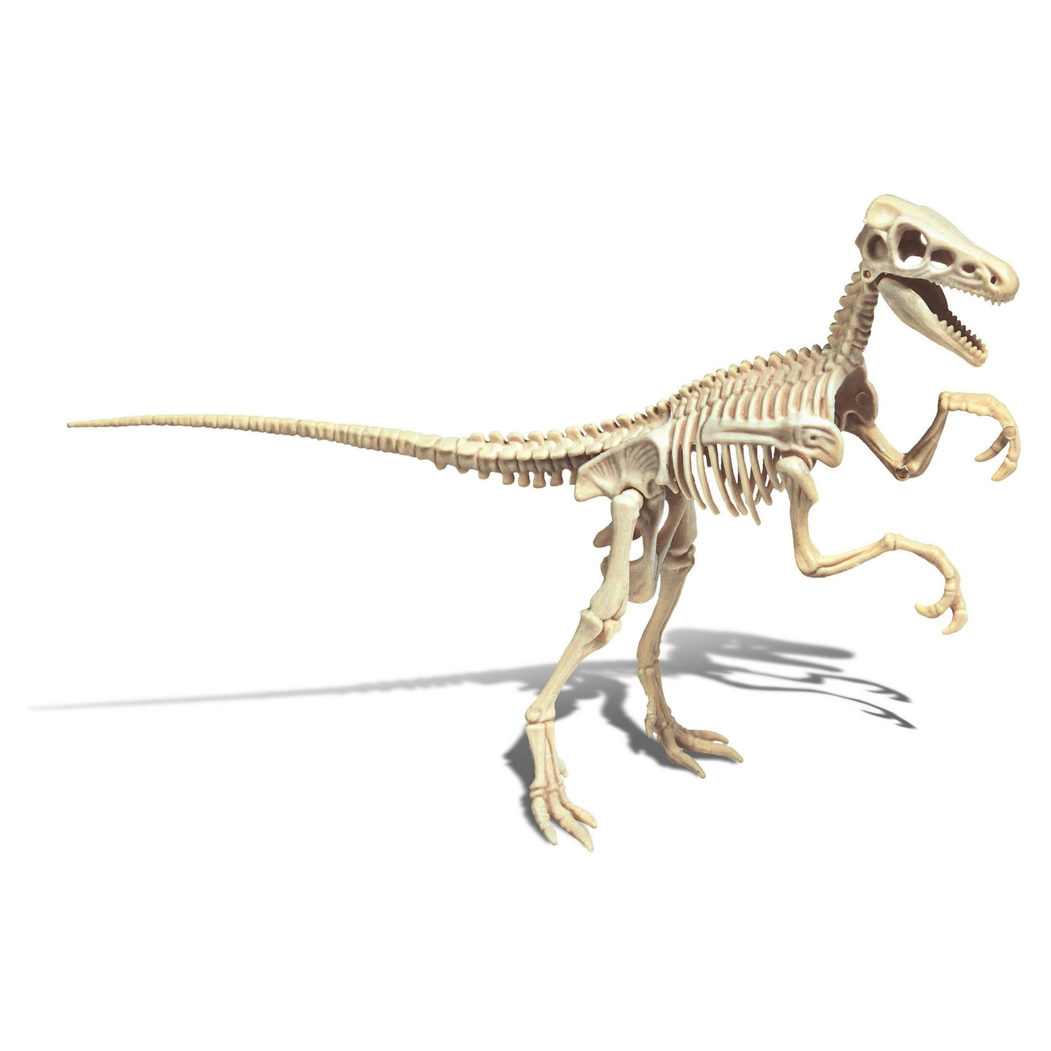 CLEMENTONI Archéo ludic Vélociraptor