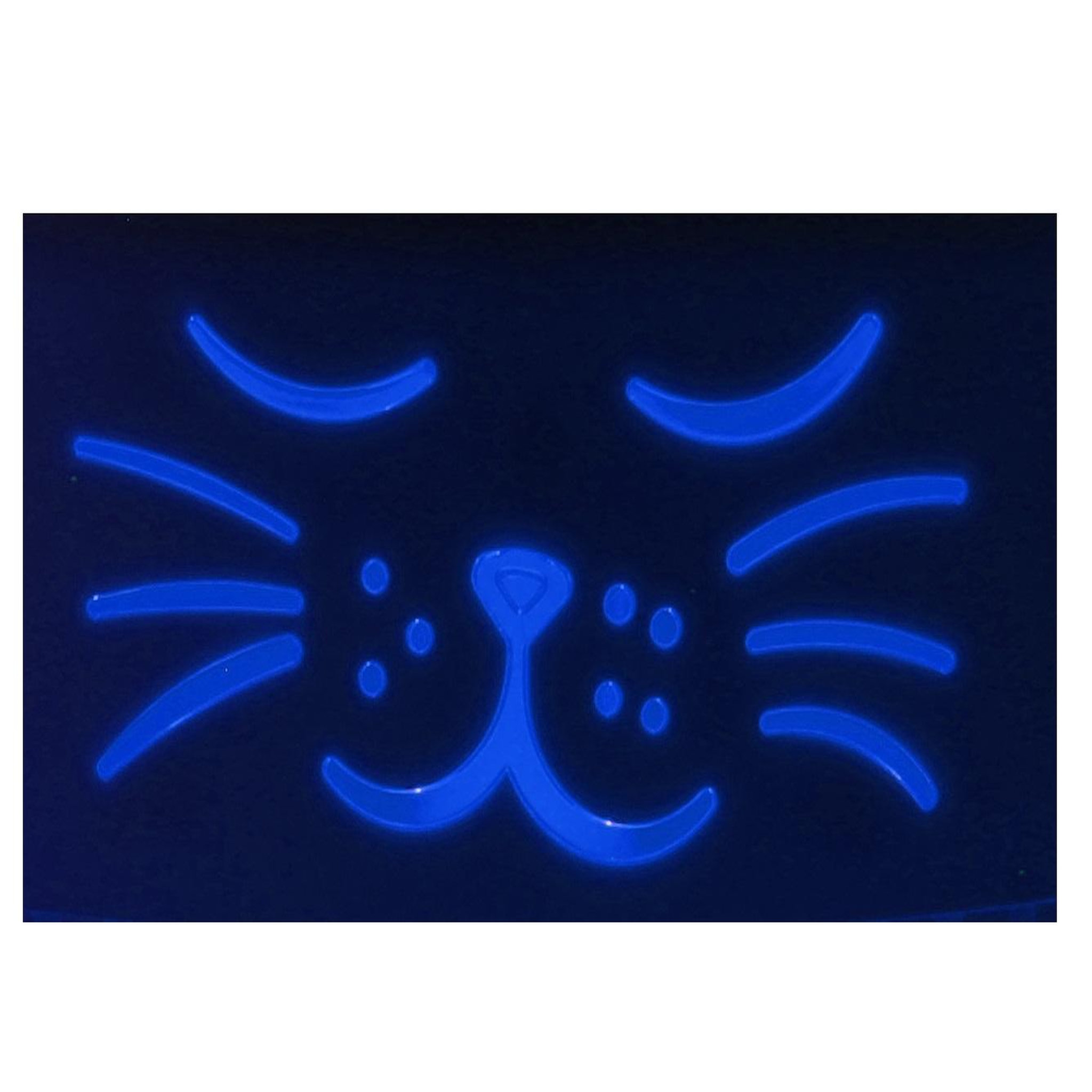 Voir la diapositive 4 : Eden Fontaine a eau mali 2l pour chat et petit chien