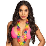 Boland Collier Hawaïen - Rainbow - Petites Fleurs