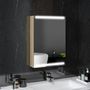 Voir la diapositive 2 : HOMCOM Armoire murale salle de bain  1 porte miroir lumineux LED intégré 50 x 70 cm 2 étagères verre effet bois