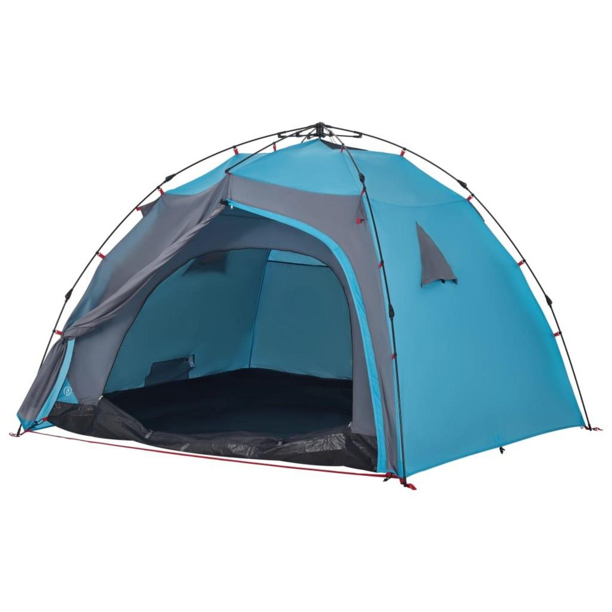 VIDAXL Tente de camping a dome 4 personnes bleu liberation rapide