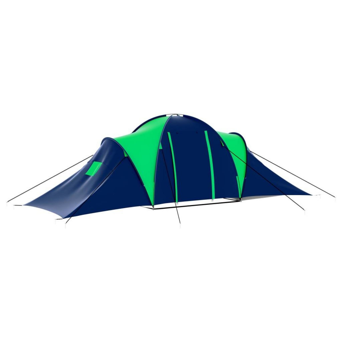 VIDAXL Tente de camping 9 personnes Bleu et Vert