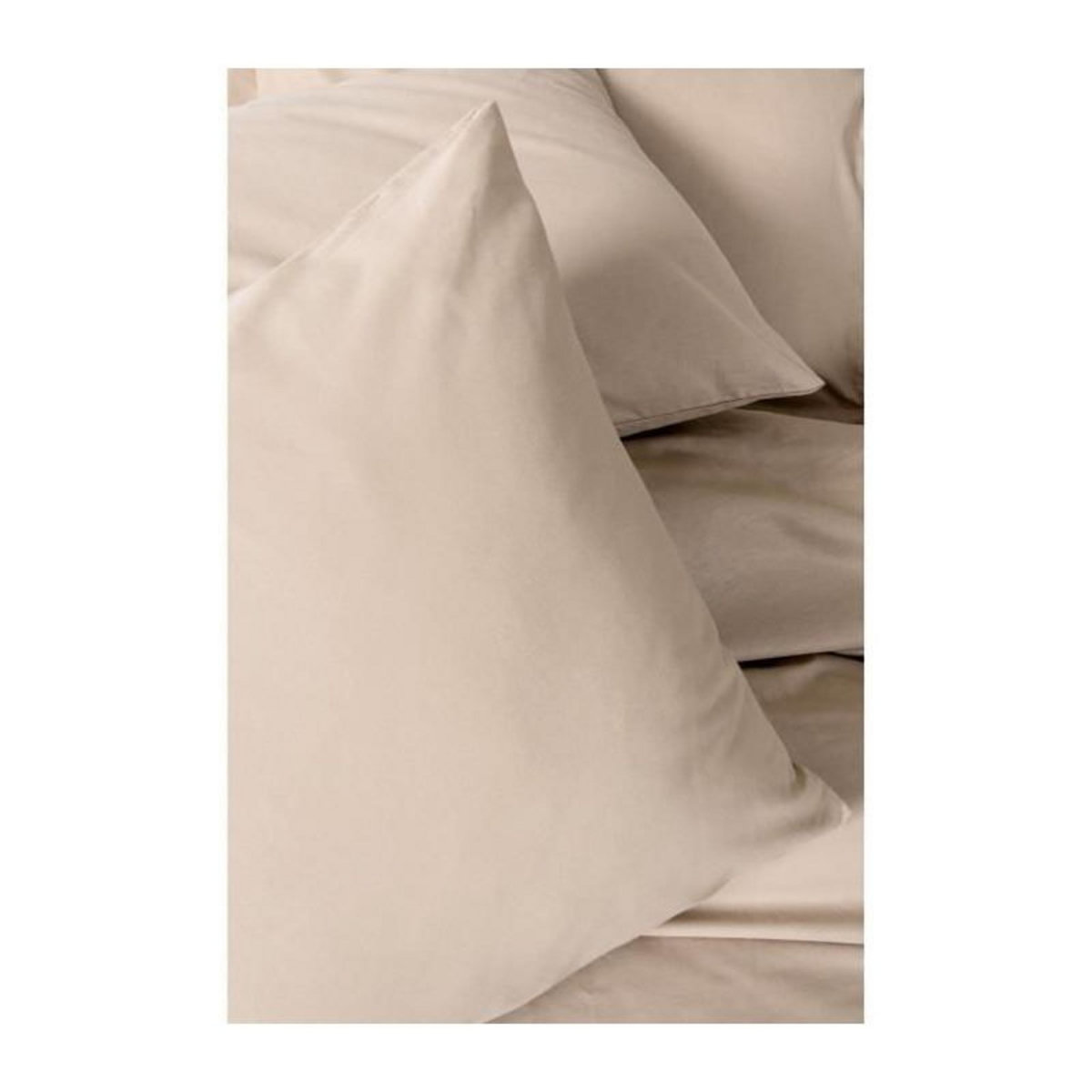 GENERIQUE Parure de lit - 129CTN64627 - 1 housse de couette 220 x 240 cm + 2 taies d'oreiller 60 x 60 cm - 100% coton ranforcé - Beige