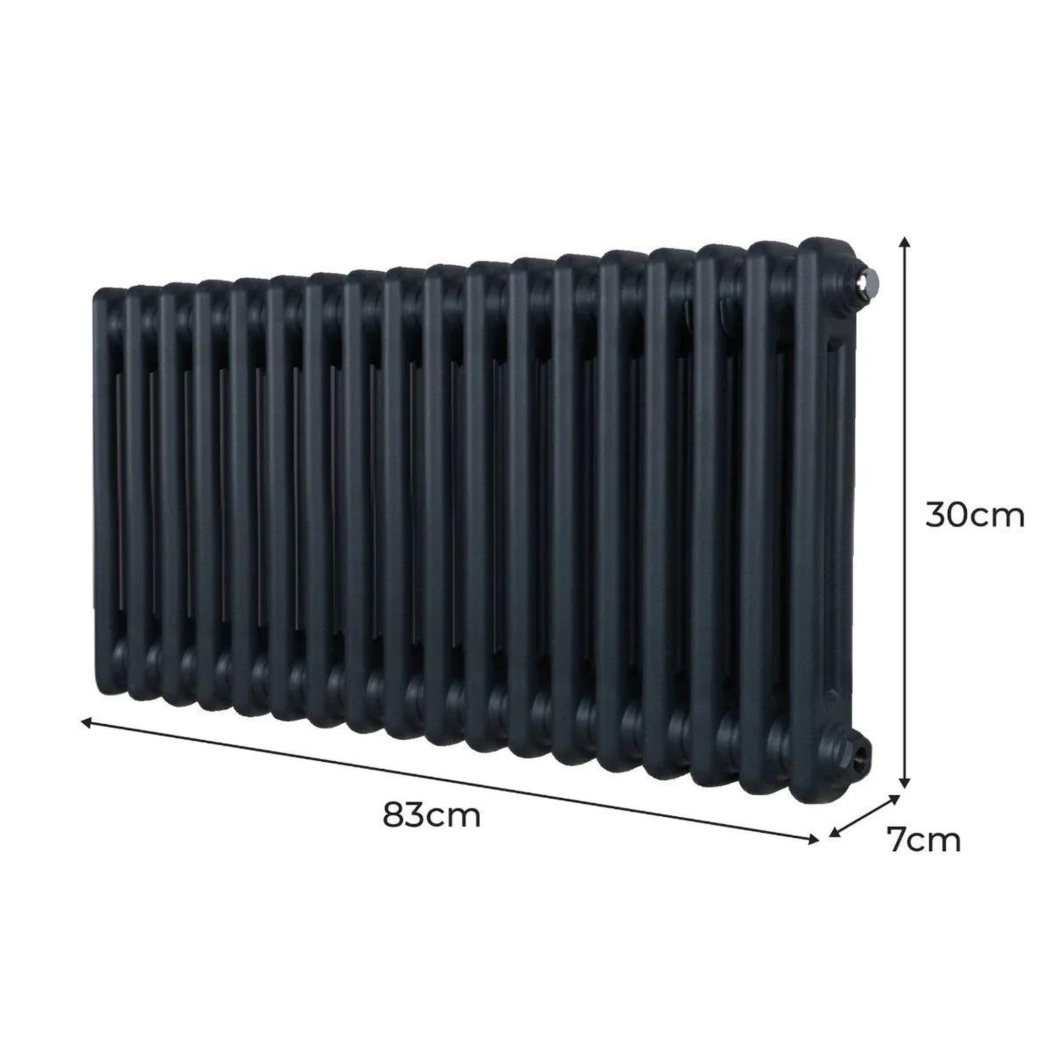 Voir la diapositive 5 : MONSTERSHOP Radiateur traditionnel à 2 colonnes – 300 x 832 mm