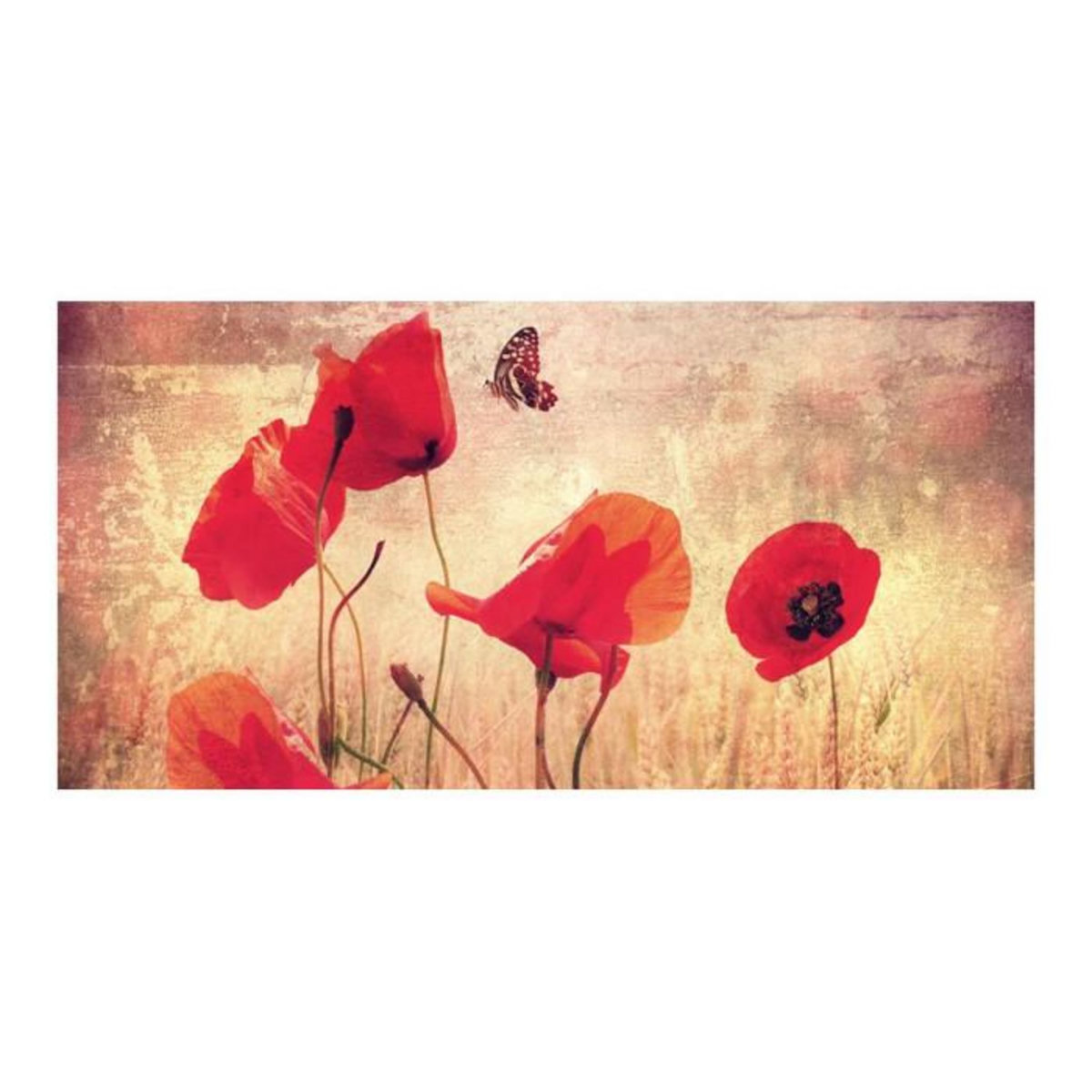 Paris Prix Papier Peint XXL  Summer is Coming  270x550cm