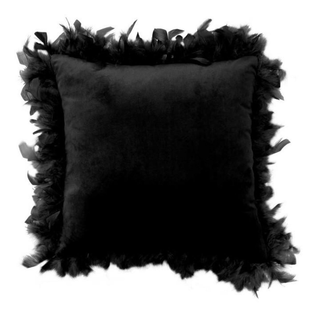Paris Prix Coussin Déco Plumes  Marlina  40x40cm Noir