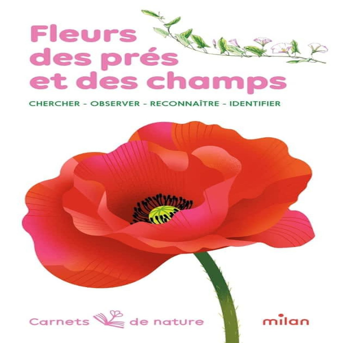 FLEURS DES PRES ET DES CHAMPS. CHERCHER, OBSERVER, RECONNAITRE, IDENTIFIER, Bustarret Nicole