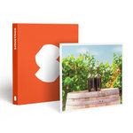 Smartbox Visite, dégustation et accord mets-vins en duo aux portes de Paris - Coffret Cadeau Gastronomie