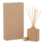 Paris Prix Diffuseur de Parfum  Scented  100ml Ochre Woods
