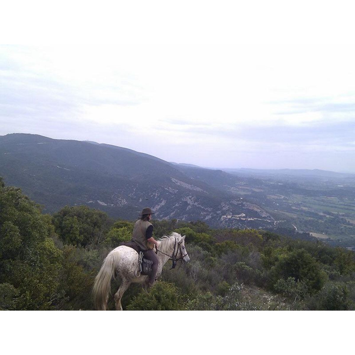 Smartbox Journée de balade, randonnée à cheval ou cours d'équitation - Coffret Cadeau Sport & Aventure