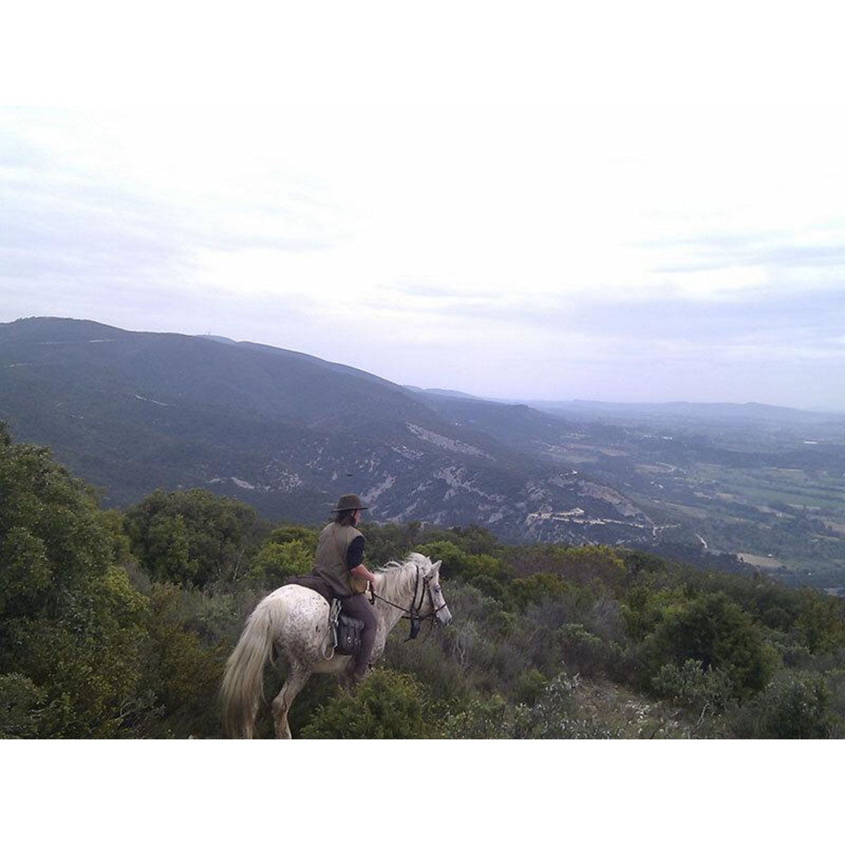 Smartbox Journée de balade, randonnée à cheval ou cours d'équitation - Coffret Cadeau Sport & Aventure