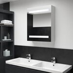 VIDAXL Armoire de salle de bain a miroir LED 50x13,5x60 cm
