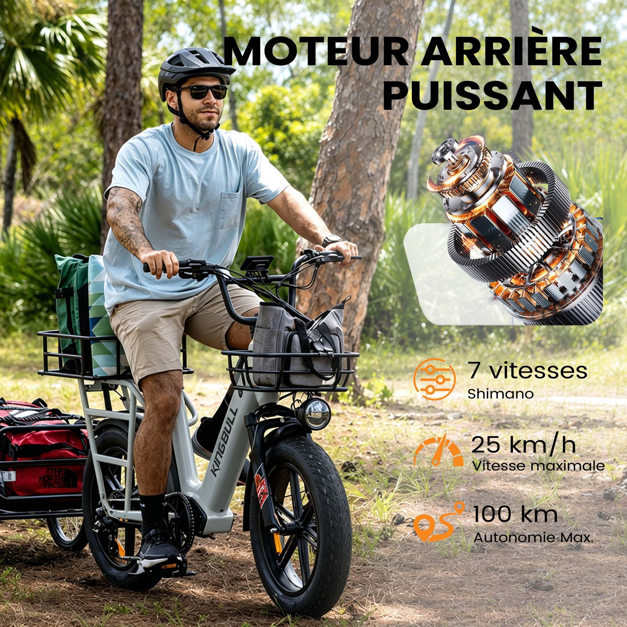 Voir la diapositive 4 : KINGBULL Vélo cargo électrique kingbull voyager 2.0
