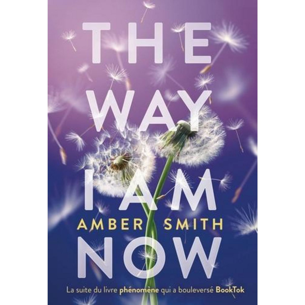 THE WAY I AM NOW, Smith Amber