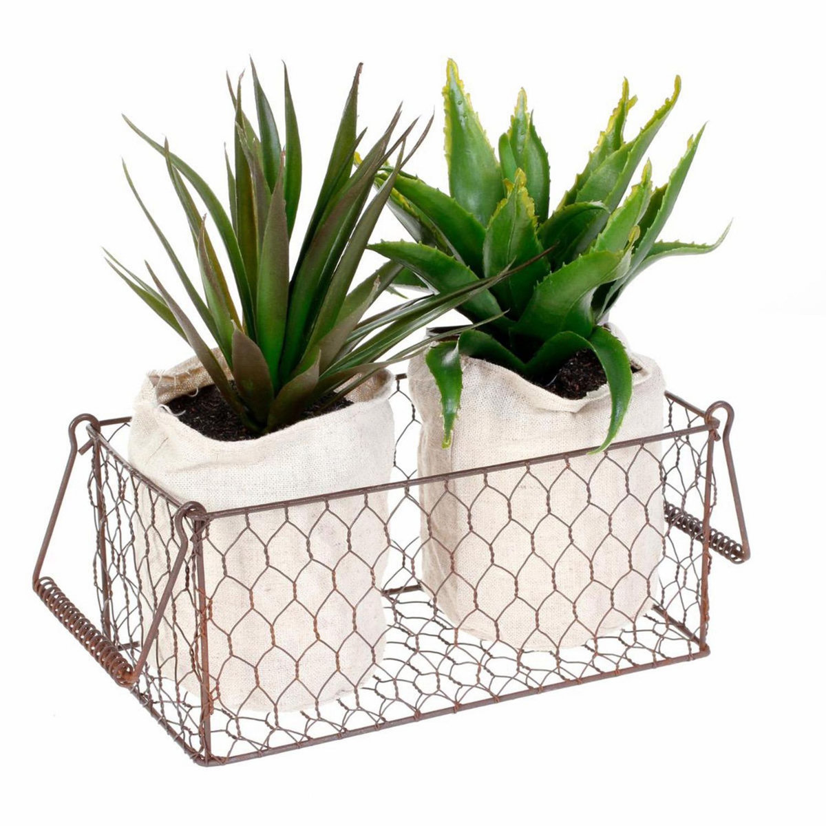 ATMOSPHERA 2 Aloe vera artificielles en panier