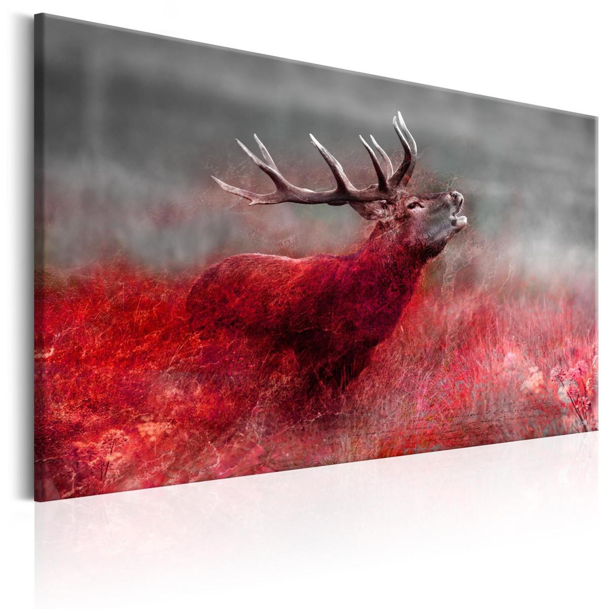 Voir la diapositive 1 : Paris Prix Tableau imprimé  bloody field
