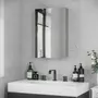 KLEANKIN Armoire miroir murale salle de bain toilette dim. 39L x 12l x 60H cm acier inox. verre
