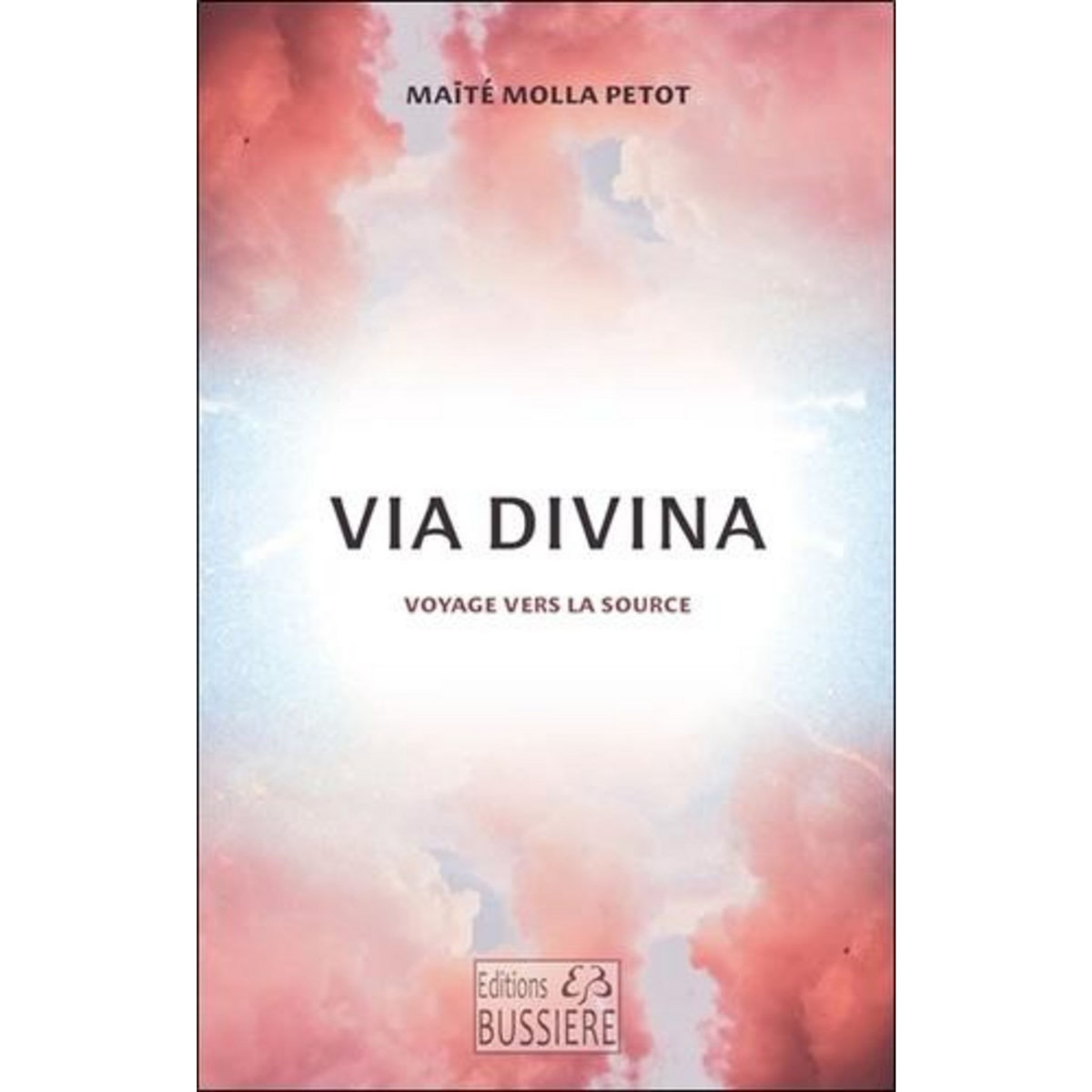 VIA DIVINA. VOYAGE VERS LA SOURCE, Molla-Petot Maïté