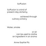 IMPREGNATION. EDITION EN ANGLAIS, Pic Anne-Sophie