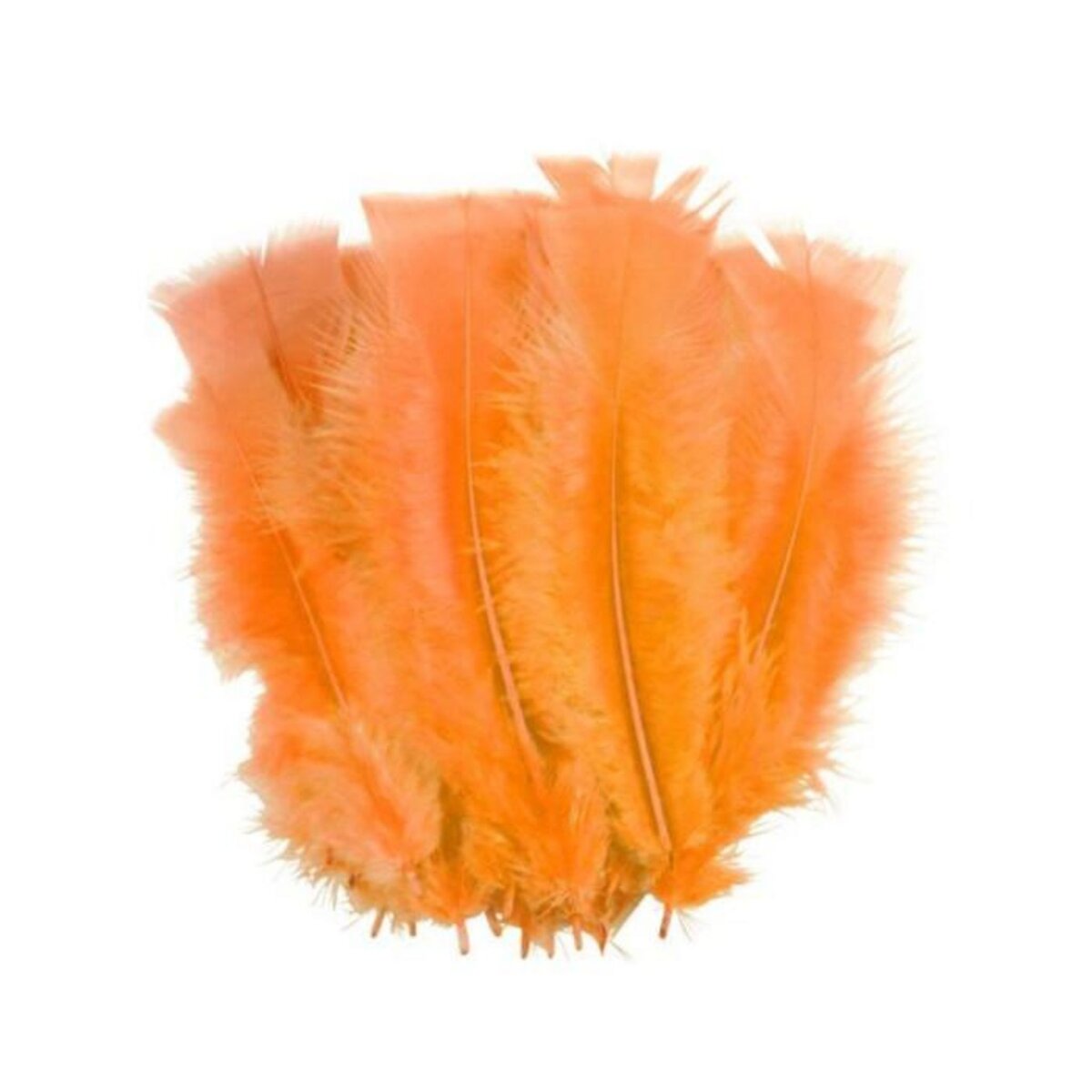 Paris Prix Lot de 35 Plumes Décoratives  Sensa  16cm Orange