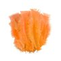 Voir la diapositive 1 : Paris Prix Lot de 35 Plumes Décoratives  Sensa  16cm Orange