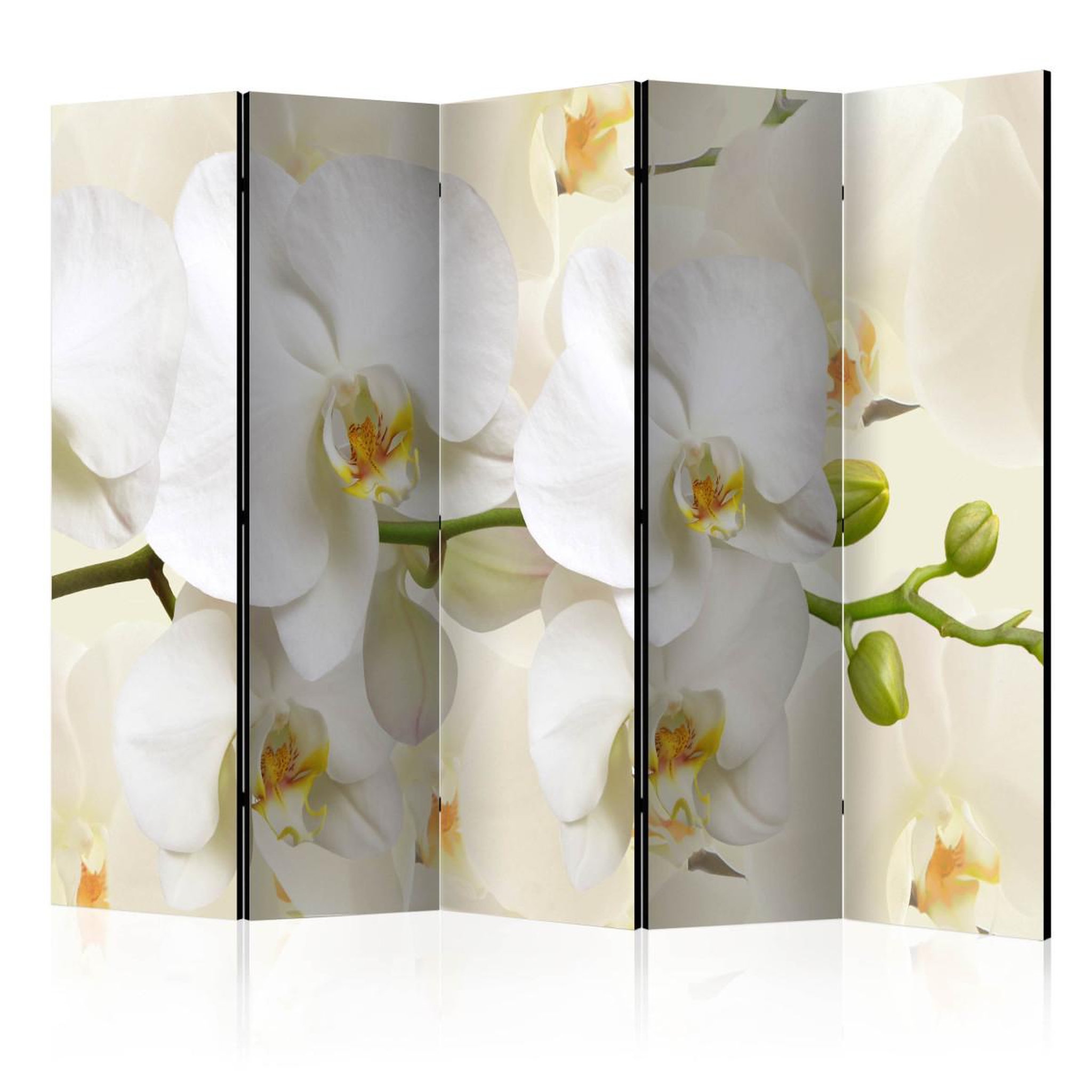 Paris Prix Paravent 5 volets  orchid branch  172x225cm