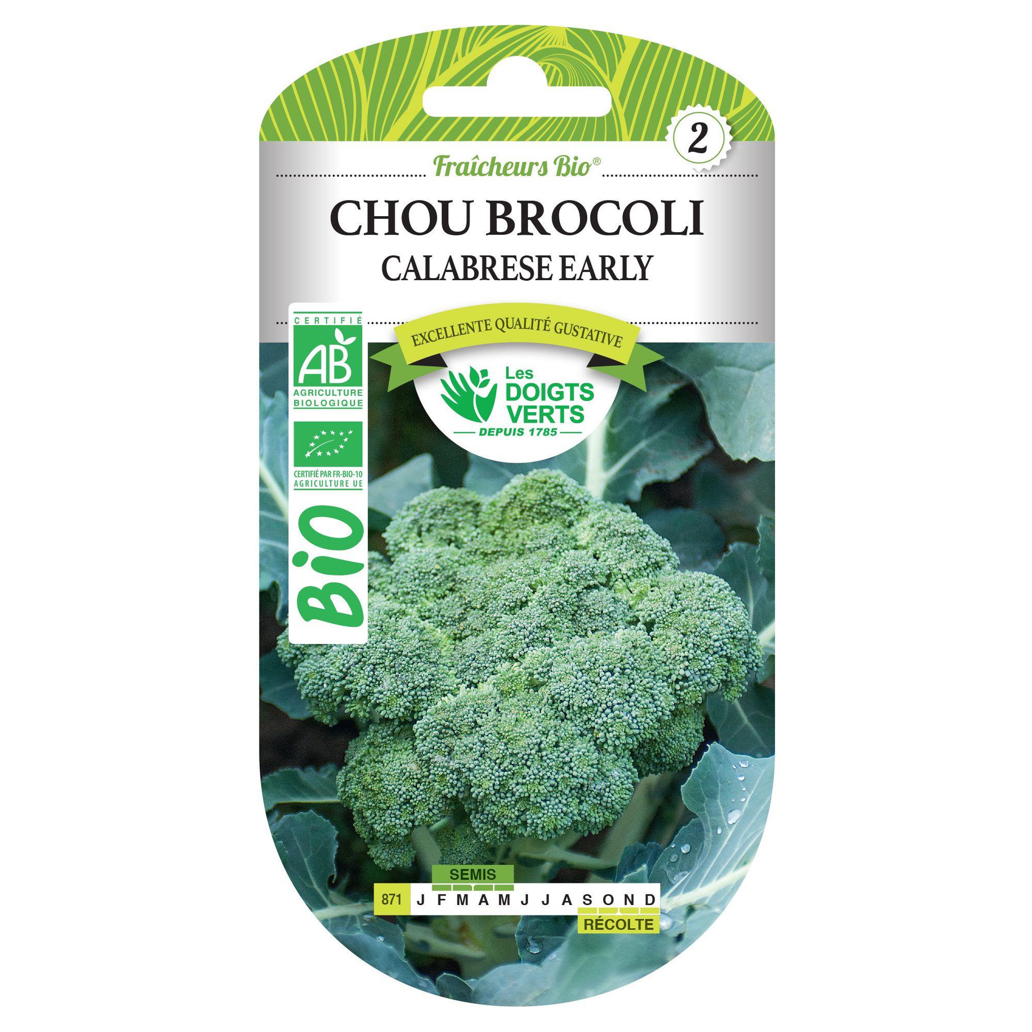 Voir la diapositive 2 : LES DOIGTS VERTS Graines chou brocoli Calabrese early BIO Les Doigts Verts