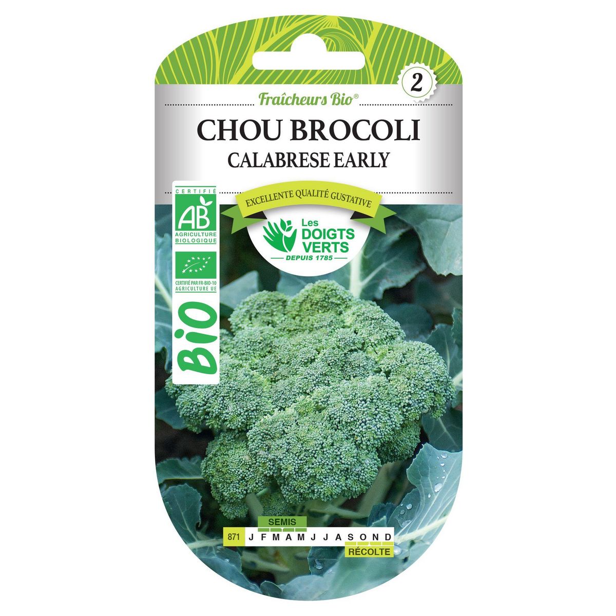 LES DOIGTS VERTS Graines chou brocoli Calabrese early BIO Les Doigts Verts